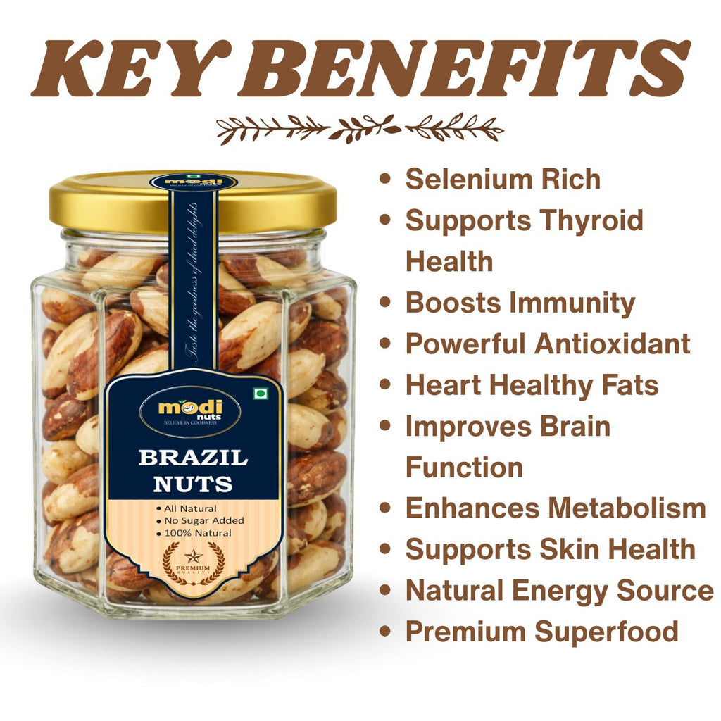 Modinuts Premium Brazil Nuts Without Shell