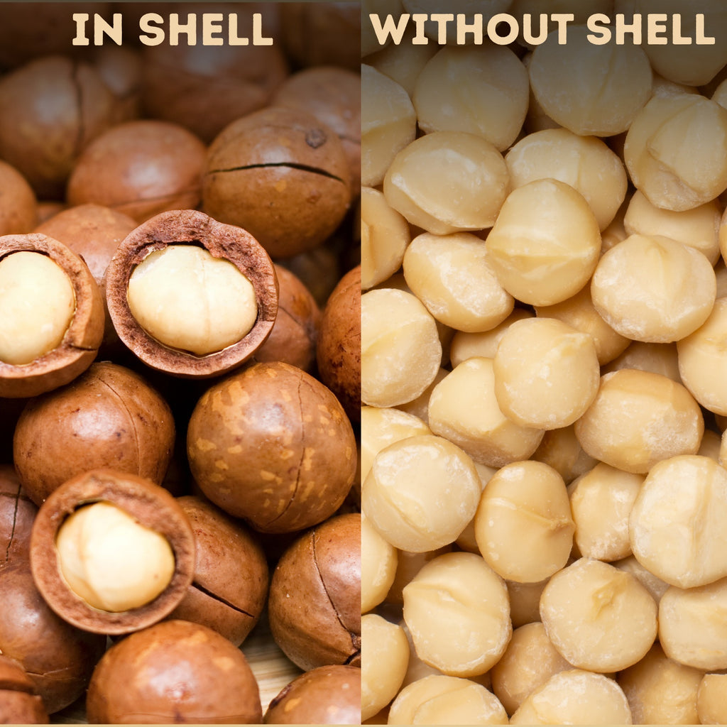 Buy Premium Macadamia Nuts in Shell Online – Fresh & Premium Quality