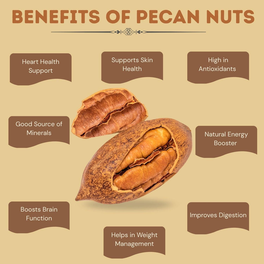 Modinuts Premium Pecan Nuts In Shell 500g | Premium Whole Pecan Nuts with Shell | Natural & Crunchy Pecans | Healthy Dry Fruit Snack