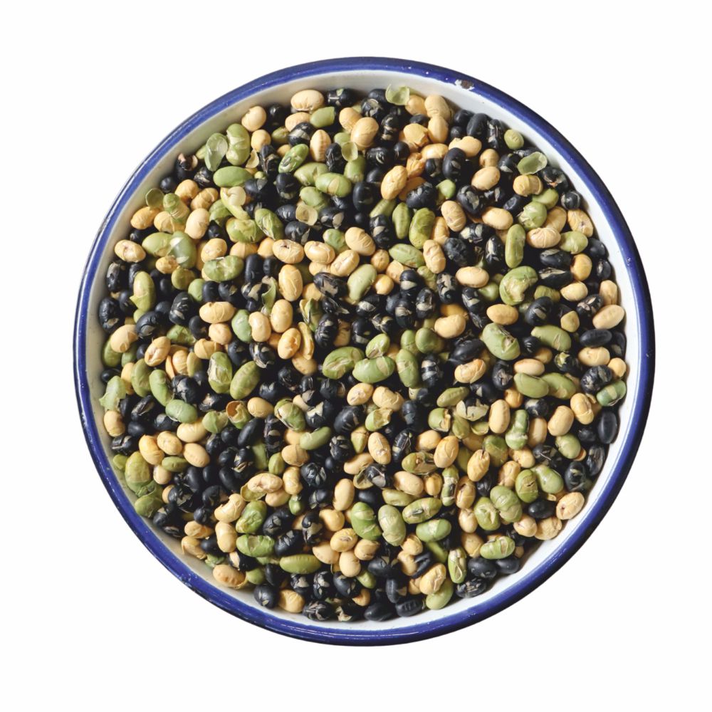Premium Protein Beans – Plant-Based Protein Superfood