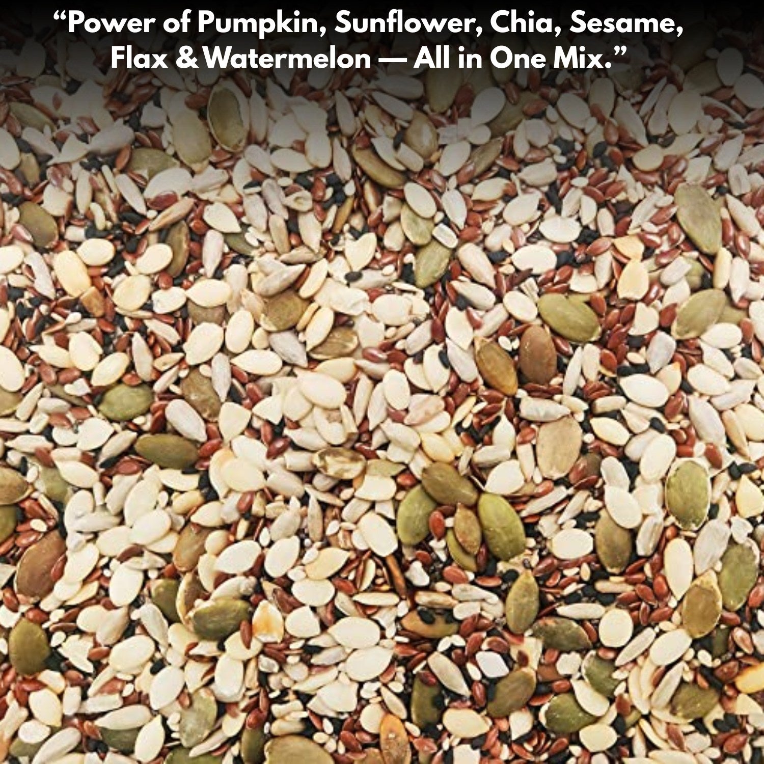 Buy Healthy Seed Mixture – Roasted Snack